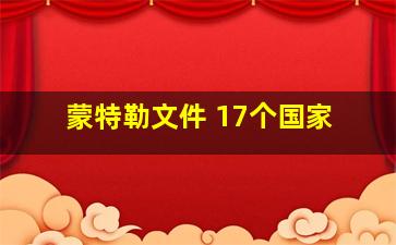 蒙特勒文件 17个国家